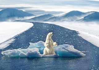 Mudança climática levará o planeta inteiro a um ponto sem volta