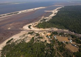 Mudança climática vs El Niño: pesquisa revela qual foi o fator principal para a seca na Amazônia