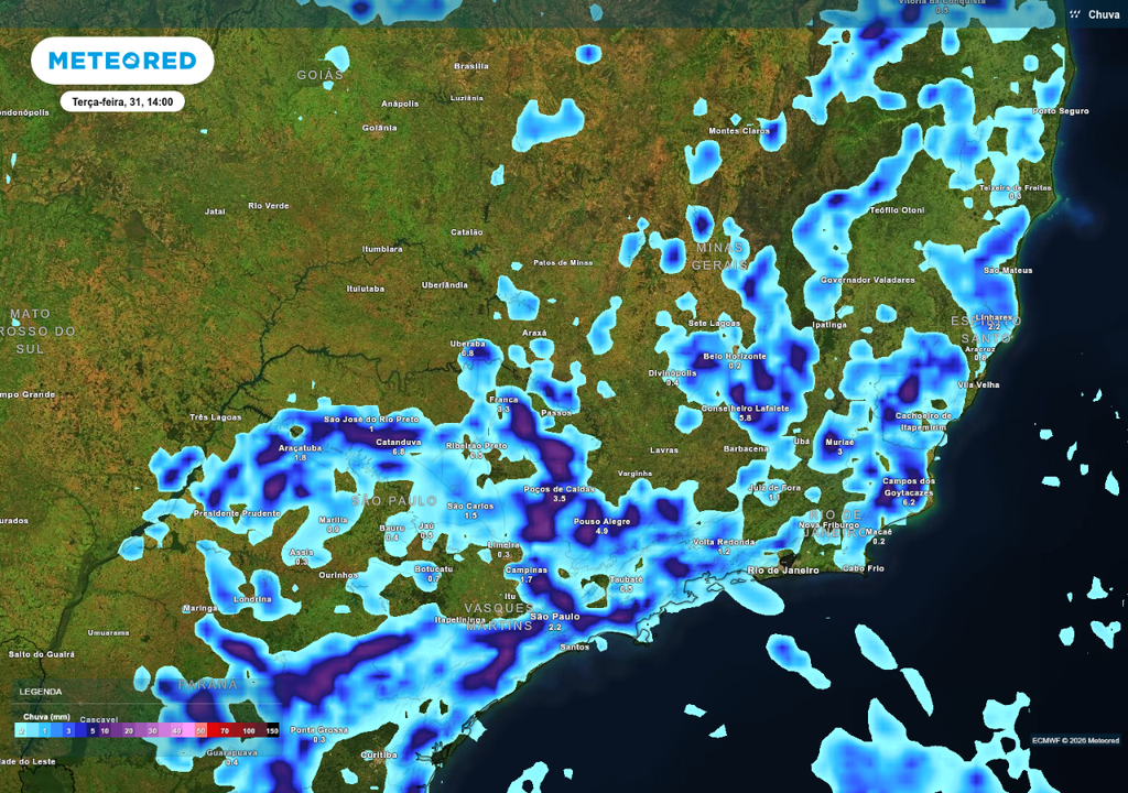 Previsão de chuva nesta terça-feira (31), de acordo com o ECMWF.