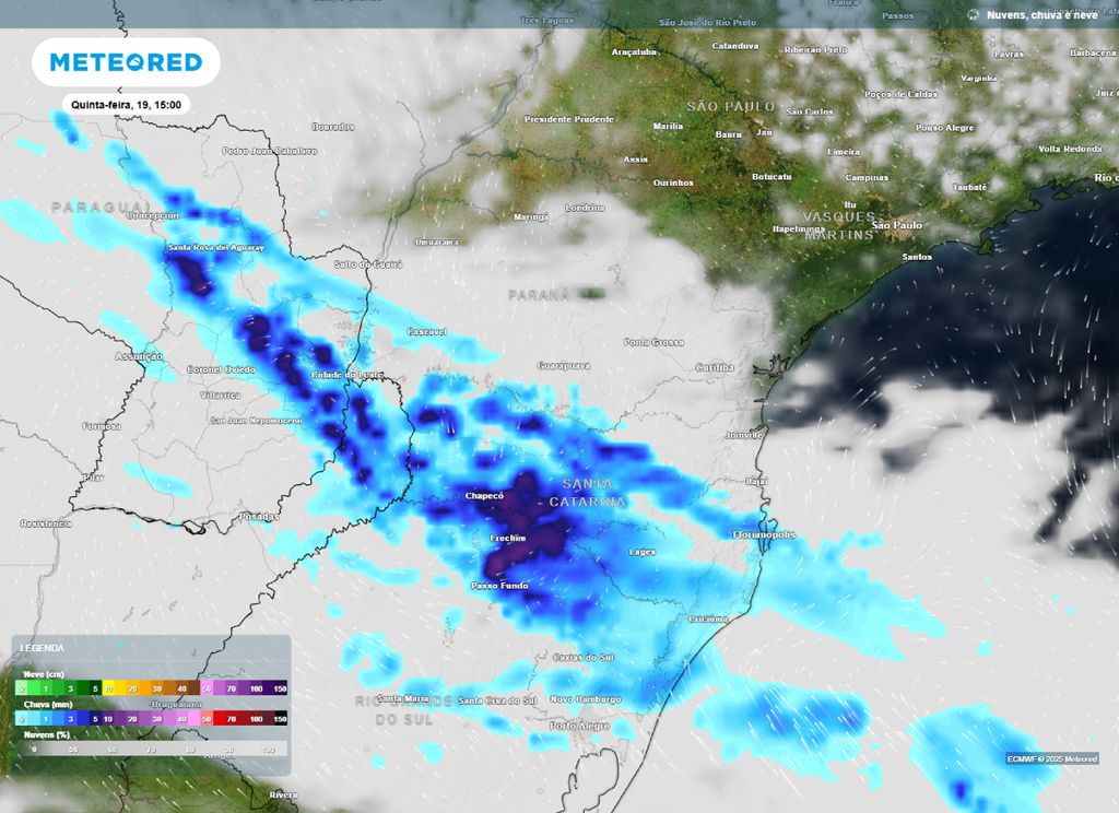 Mapa de precipitação prevista para a tarde de quinta-feira (19), segundo o modelo ECMWF.