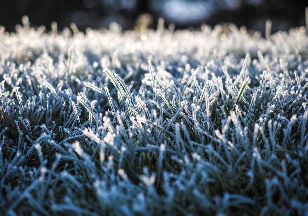 geadas; tempo frio; Portugal; ar polar