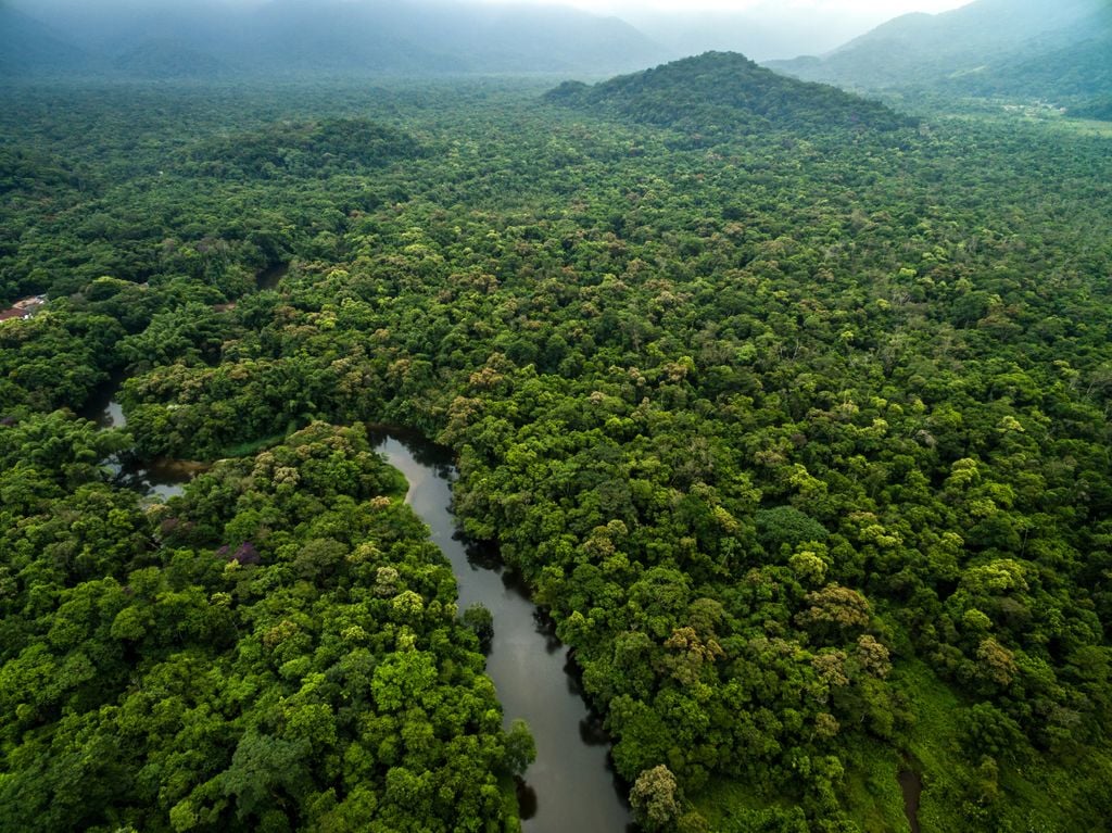 Floresta, Amazonas, mudanças climáticas