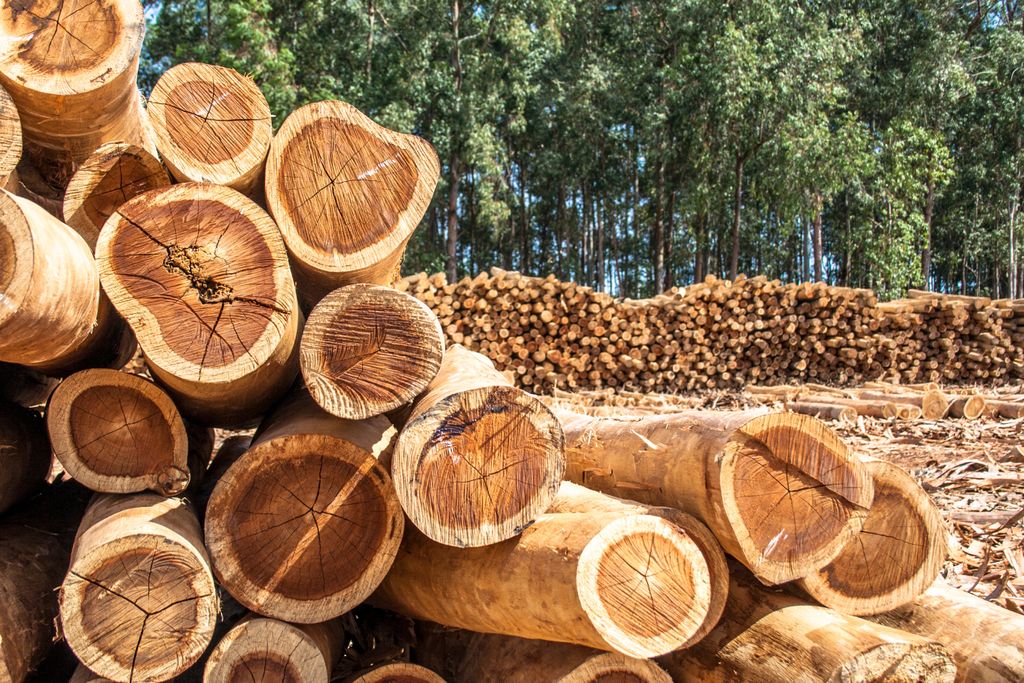 Região sudeste, região sul, mudanças climáticas Região sudeste, região sul, mudanças climáticas