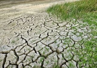 Mudanças Climáticas: rescaldo da conferência COP 24