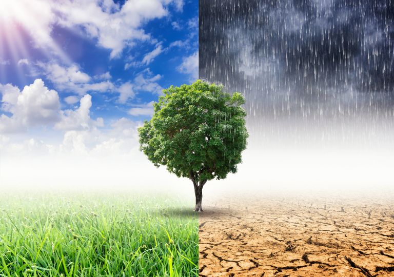 Mudanças climáticas: uma pandemia sem estado de alarme Mudanças climáticas: uma pandemia sem estado de alarme