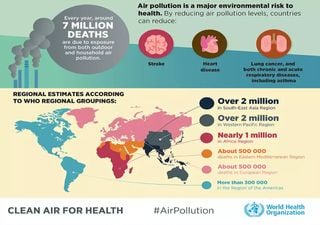 Murieron miles de personas por la contaminación del aire en 2020