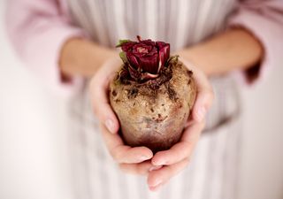 Mulheres na agricultura. Programa TalentA oferece 5000 euros ao melhor projeto feminino