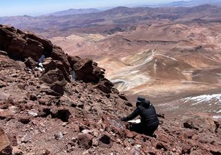 Mummified mice found on Andean volcano summits lead to shock discovery