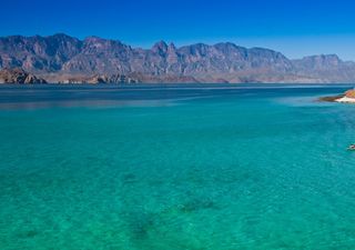 El increíble “Acuario del Mundo” se encuentra en México. Fundamental su cuidado y protección