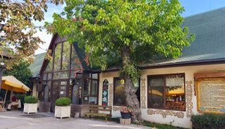 Munich de Malloco: descubre el epicentro de la cultura alemana en la Regi&oacute;n Metropolitana