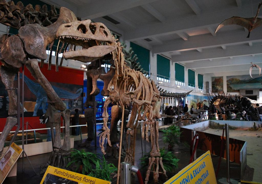 Museos en Buenos Aires para visitar en invierno Museos en Buenos Aires para visitar en invierno