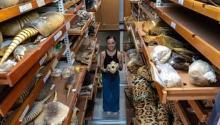 Museu na Amaz&ocirc;nia tem a terceira maior cole&ccedil;&atilde;o de mam&iacute;feros da Am&eacute;rica do Sul