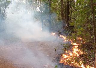 Muy activa la temporada de incendios forestales en México