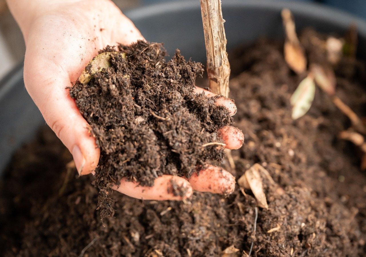 Cómo hacer compost para el jardín.. ¡Y cultivar tus propias