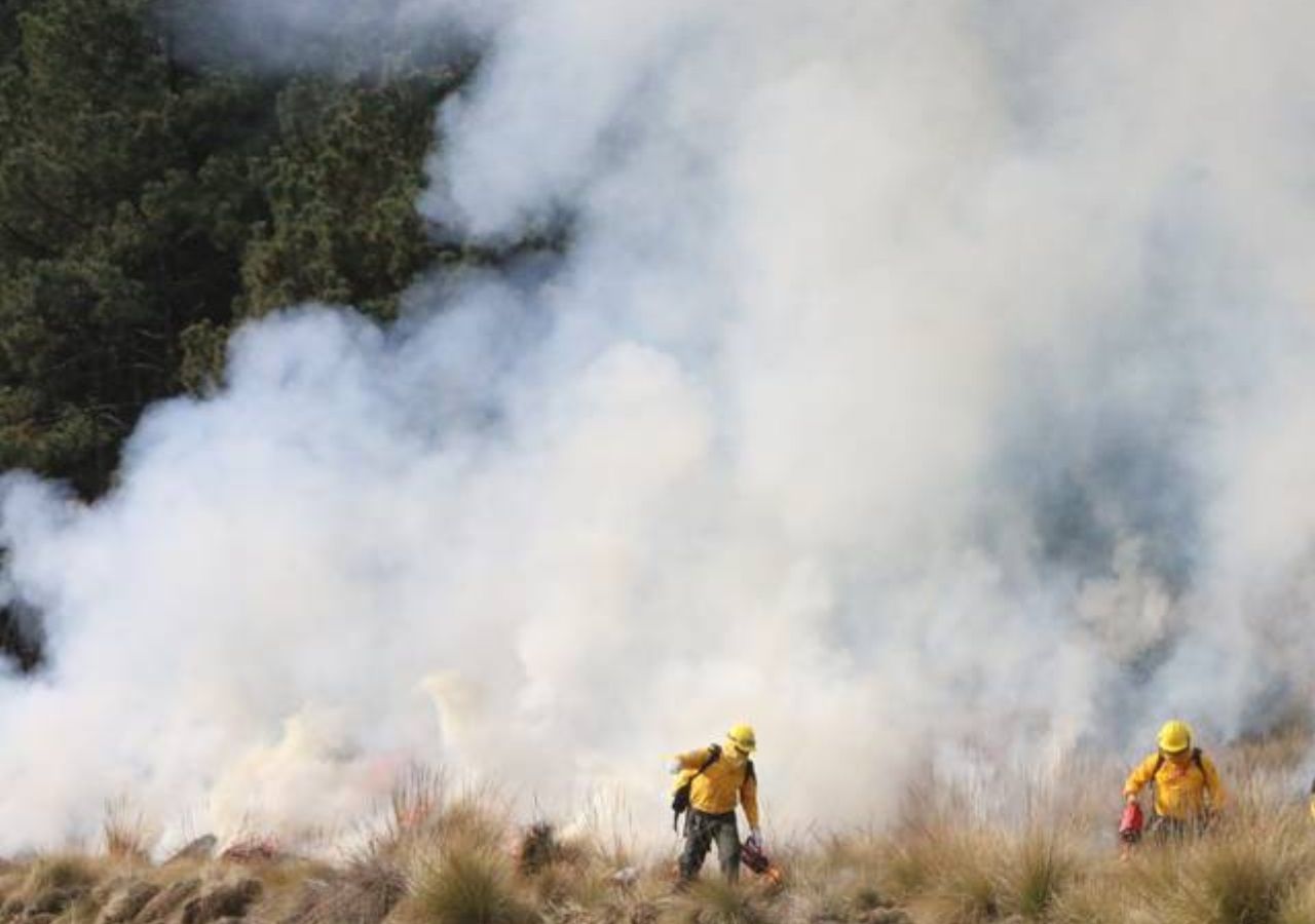 Se anticipa como muy peligrosa temporada de incendios forestales 2024