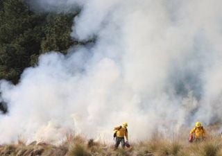 Se anticipa como muy peligrosa temporada de incendios forestales 2024 en la República Mexicana