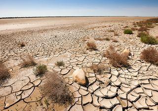 Alerta de desertificación: los climas semiáridos en España aumentan