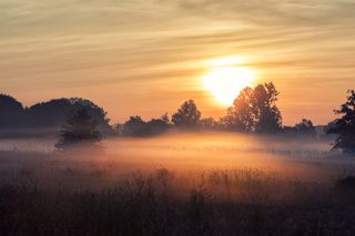 Herbstzeit ist Nebelzeit: Von der Entstehung bis zum Nebel-Lotto!