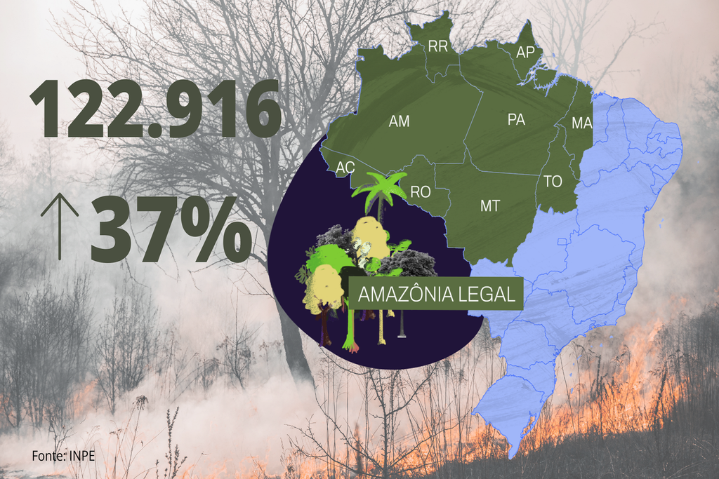 amazonia legal