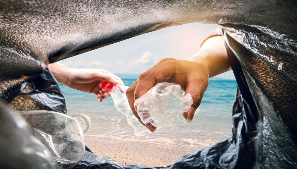 Cada pedazo de basura que se retira para ser reciclado o depositado en un vertedero significa que hay un artículo menos peligroso para las aves, tortugas o ballenas.