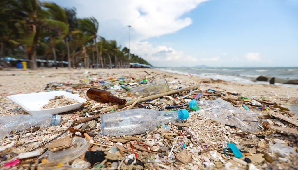 También hay beneficios económicos de las limpiezas públicas. Si las playas están cubiertas de basura, los turistas no las visitarán.
