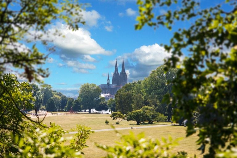 Nach dem Dauerregen folgt im Rheinland das Sommerfinale - "Wohl ein letztes Mal Hochsommerfeeling"