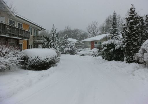 Nach dem Rekordsommer: Das eine Szenario, das Deutschland in einen Extrem-Winter kippt
