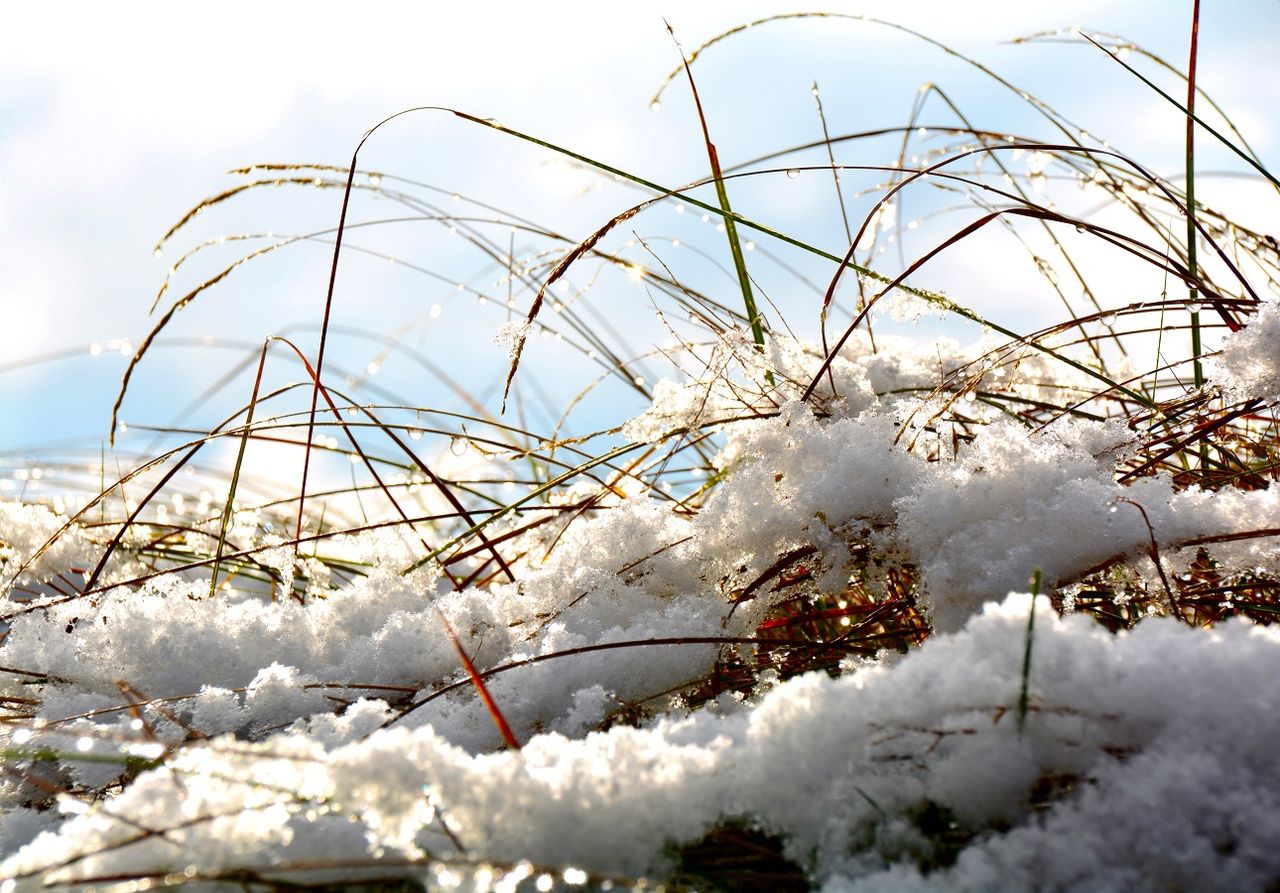 Nach dem Regen sollen nun die ersten Schneeflocken fallen (Foto: Adobe Stock)