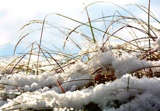 Nach dem Sturm kommen Regen und Schnee