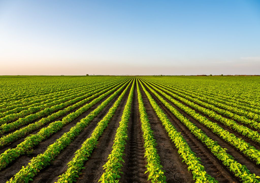 Weltweit gesehen - ist die Landwirtschaft noch wenig nachhaltig