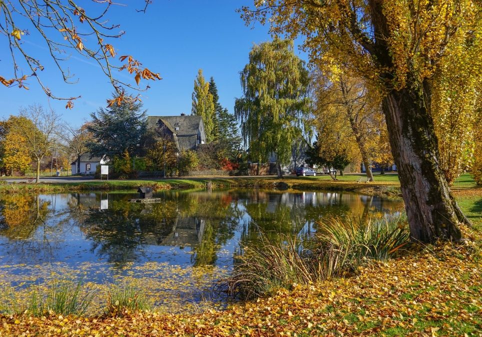 https://services.meteored.com/img/article/nachste-woche-schon-wieder-bis-zu-20-grad-warm-19891-1.jpg