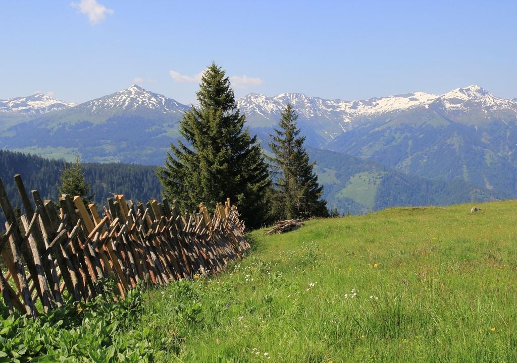 Natürlicher Lebensraum hilft den Igel nicht nur in der Überwinterung