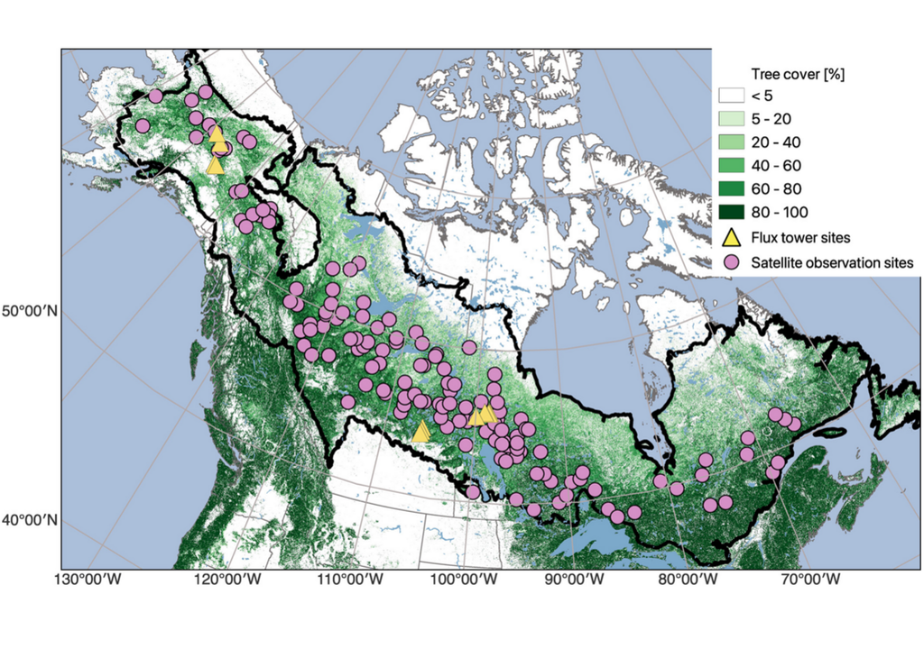 Karte des nordamerikanischen borealen Bioms Karte des nordamerikanischen borealen Bioms