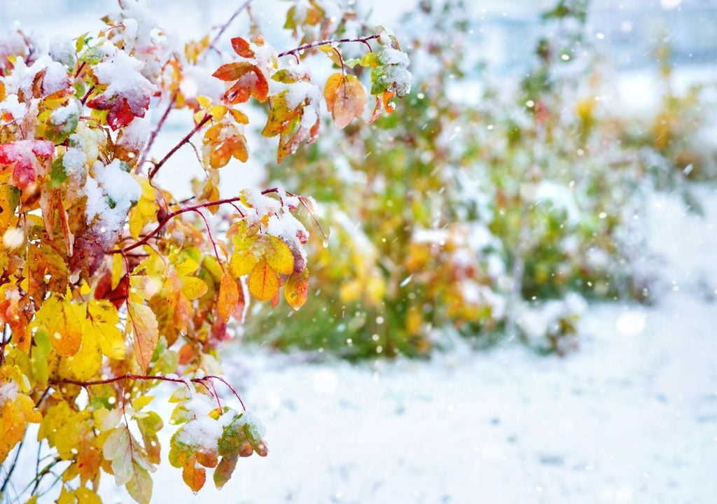 Nächste Woche Schnee Bis Ins Flachland?