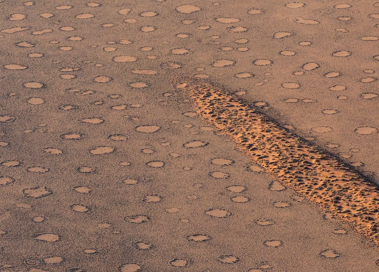 Namibia: the mystery of the 'fairy circles' finally solved!