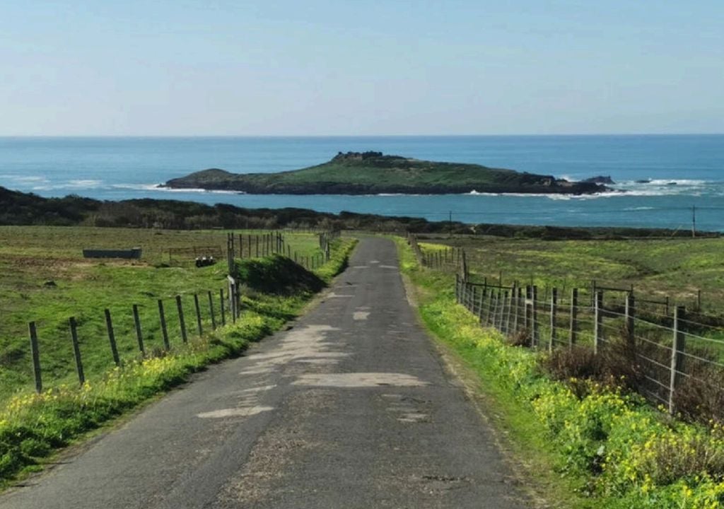 A ilha do Pessegueiro formou-se a partir de um sistema dunar, há 70 mil anos, quando o mar estava 12 km mais afastado da costa. Foto: ERTAR