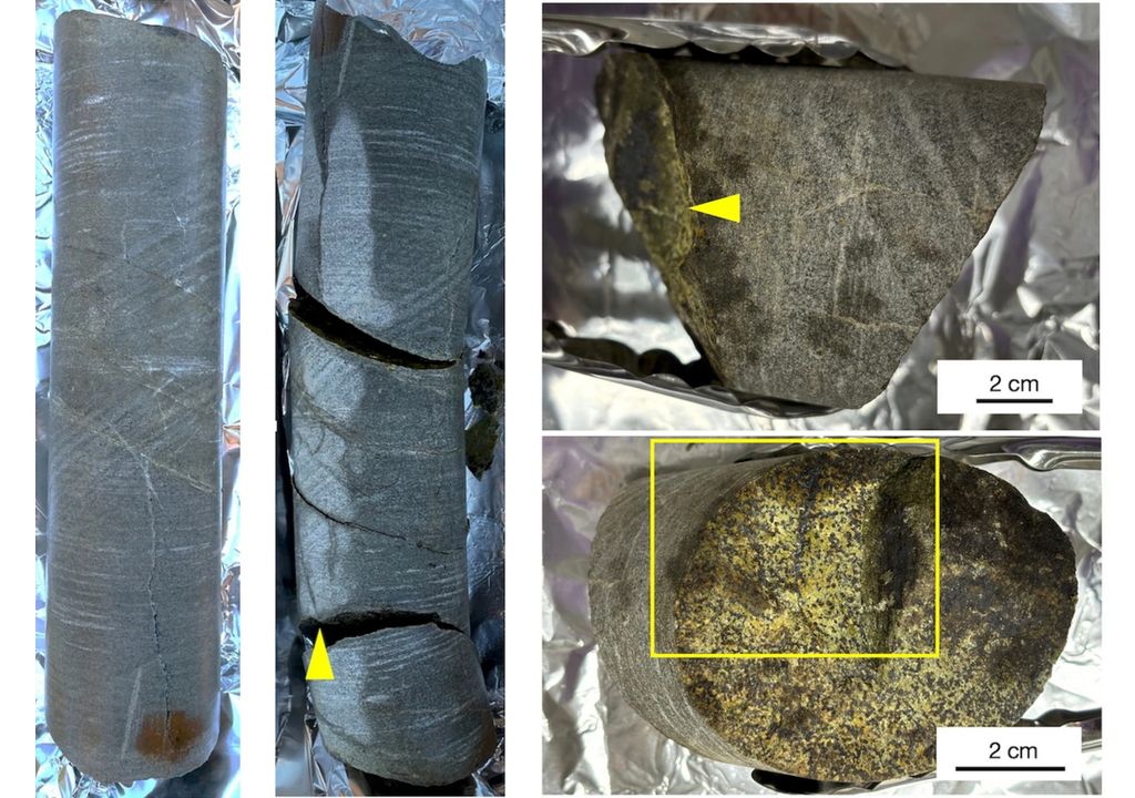 Les micro-organismes découverts dans une roche scellée pourraient nous aider à comprendre la vie primitive sur Terre et la recherche de preuves de vie sur Mars (image : Yohey Suzuki et al).