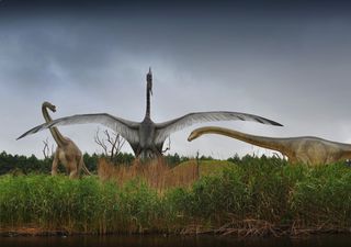 Não foram apenas as penas: os ossos dos dinossauros também desenvolveram o movimento das asas das aves