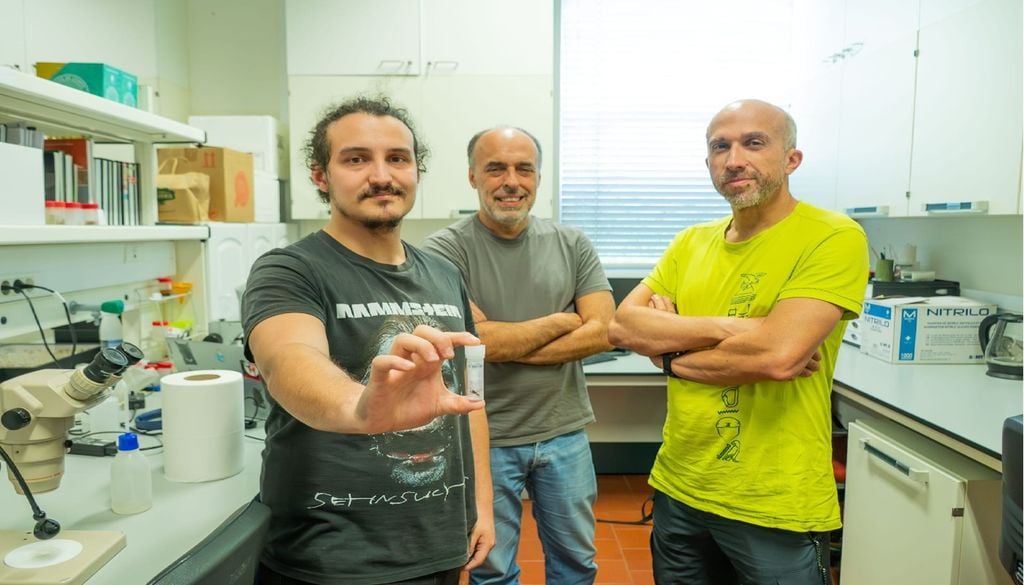 Investigadores da Faculdade de Ciências da universidade de Lisboa Miguel Sousa, Rui Rebelo e Pedro Cardoso: três dos investigadores do CE3C que descobriram as novas espécies de aranhas em Grândola. Foto: CE3C/Universidade de Lisboa