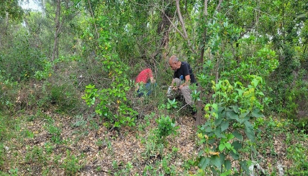 trabalho de campo na Serra de Grândola : Embora os resultados tenham sido divulgados só agora, o trabalho de campo na Herdade da Ribeira Abaixo, em Grândola, começou muito antes, em 2024. Foto: CE3C