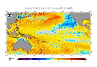 Não, La Niña não tem data para retornar em 2025; entenda o porquê