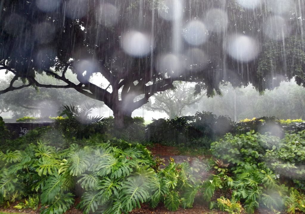 precipitação precipitação