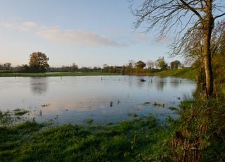 Nappes phr&eacute;atiques &agrave; un niveau "exceptionnel" en France : la s&eacute;cheresse et les incendies sont-ils pour autant &eacute;cart&eacute;s ?