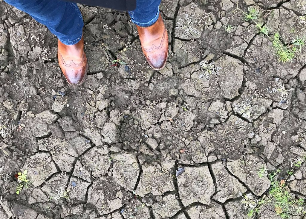 Sécheresse nappes phréatiques prétexte sols