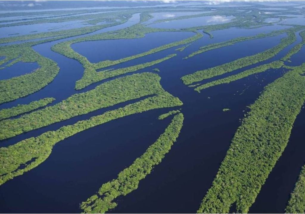 Le bassin de l'Amazone est la région qui possède le plus grand réservoir fluvial, avec environ 850 000 km³ d'eau. Crédit : Getty Images.