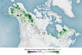 Los científicos de la NASA encuentran que la vegetación de la tundra crecerá más alta y más verde hasta el año 2100