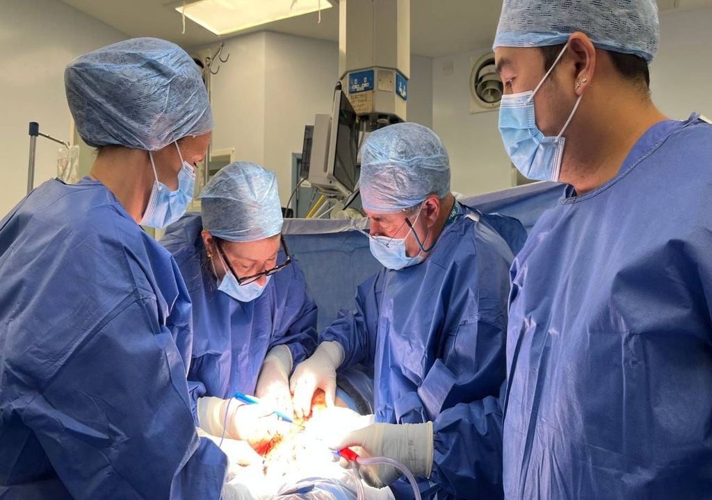 Primeiro bebé no Reino Unido nasce após transplante de útero de dadora falecida, marcando um avanço histórico na medicina reprodutiva. Fonte: Womb Transplant UK/PA