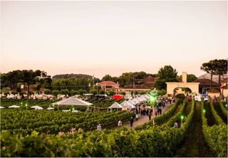 “Natal nos Vinhedos”: Serra Gaúcha retoma ao turismo com espetáculos natalinos