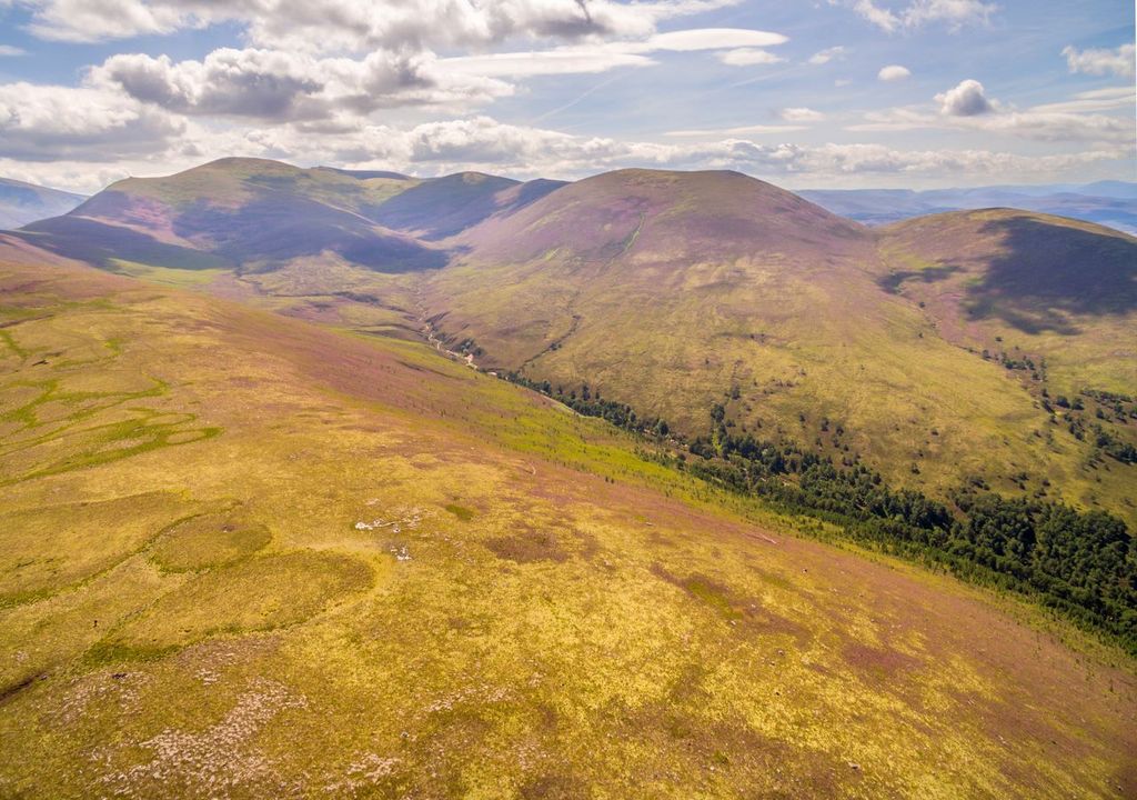 Regenerating woodland growing alongside Allt a' Mharcaidh in the mountains of Cairngorms National Park, Scotland © scotlandbigpicture.com