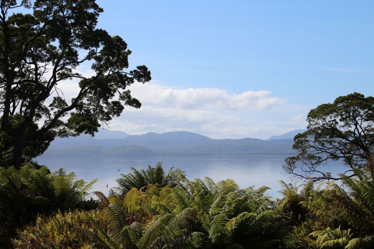 Wild und abgelegen: Aussicht von der einstigen Strafkolonie auf Sarah Island. Foto: Adobe Stock